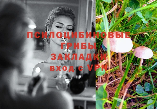 меф Каменск-Шахтинский