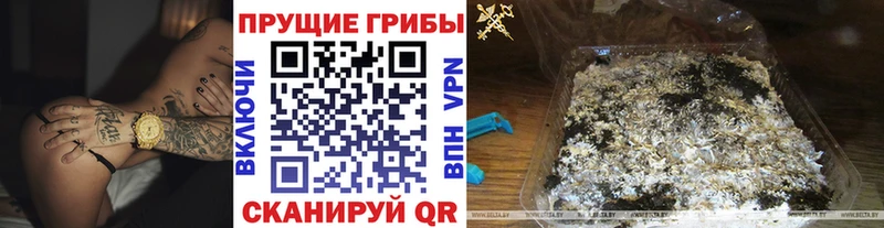 наркота  omg вход  Галлюциногенные грибы MAGIC MUSHROOMS  Кызыл 